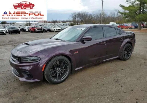 samochody osobowe Dodge Charger cena 129000 przebieg: 51519, rok produkcji 2021 z Warszawa